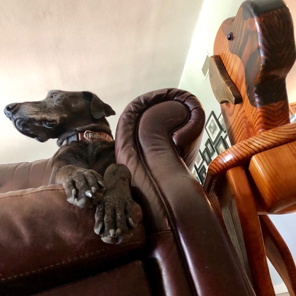 Meet your Posher, Courtney - Picture 2 of 7